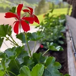 公寓 Kolberhof 阿尔卑巴赫