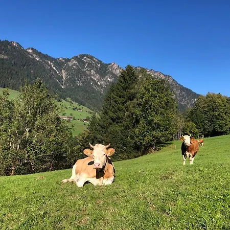 Kolberhof *