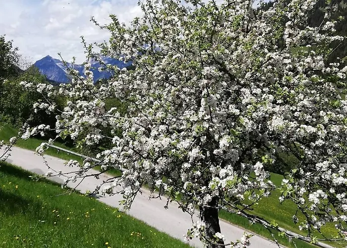 Kolberhof 阿尔卑巴赫