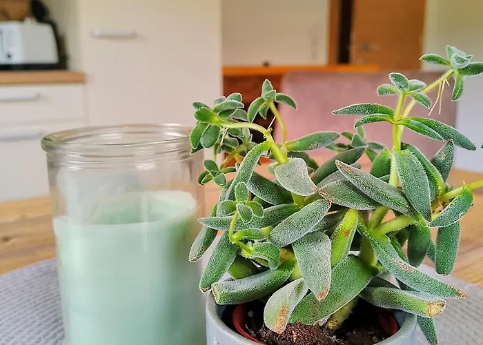 公寓 Kolberhof 阿尔卑巴赫