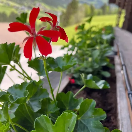 Apartman Kolberhof Alpbach