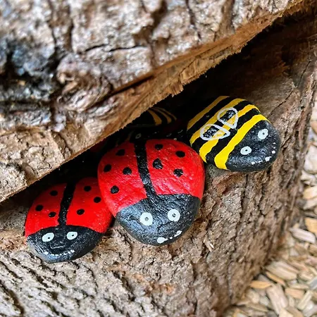 Kolberhof Apartment *